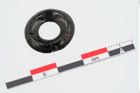 Foto von Lignitring (NHMW-PRAE-023897)